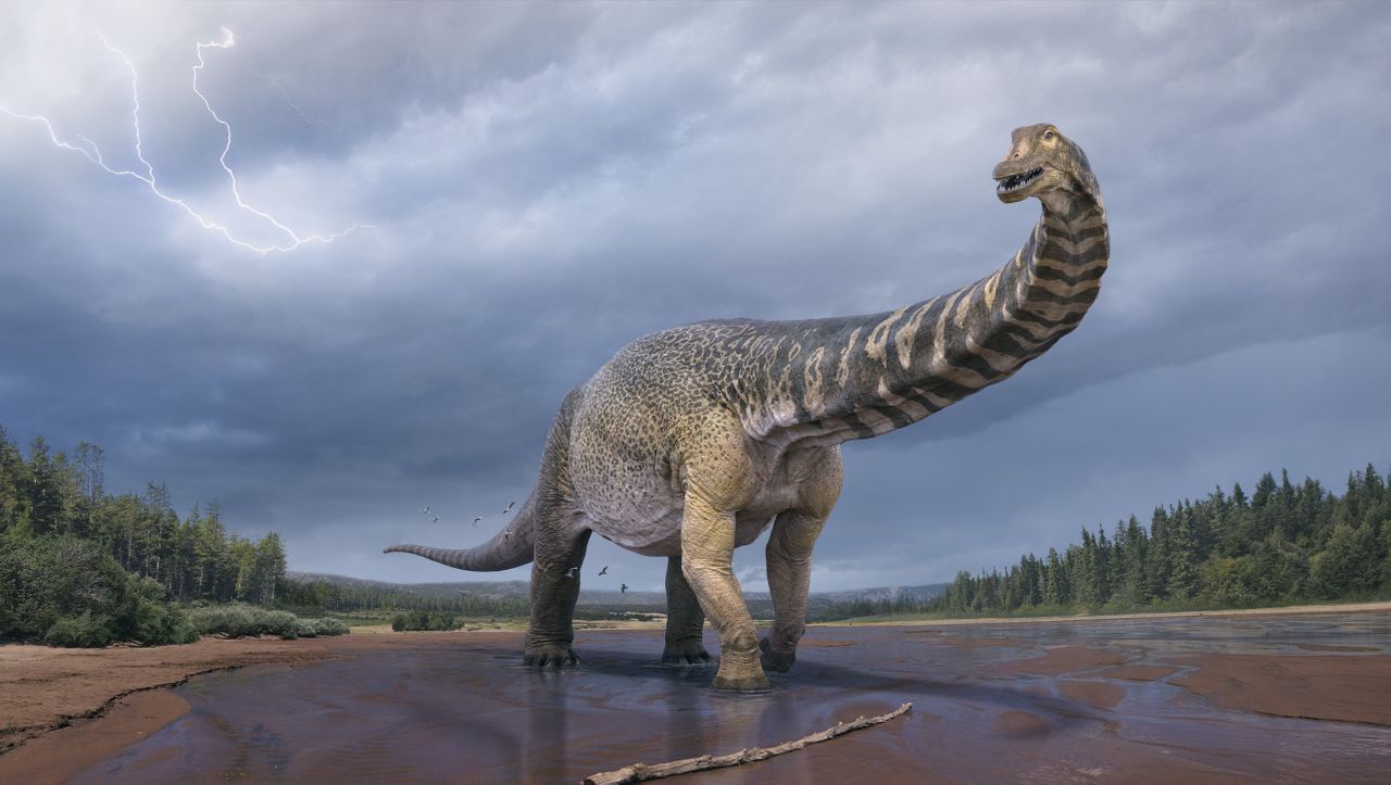 Australotitan coprensis: a previously unknown dinosaur found in Australia