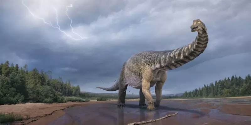 ‘Cooper’ – New species of dinosaur identified in Australia |  Cooper is one of the new dinosaur species identified in Australia, which was one of the giant dinosaur species in the Earth, say researchers |  Puthiyathalaimurai – Tamil News |  Latest Tamil News |  Tamil News Online