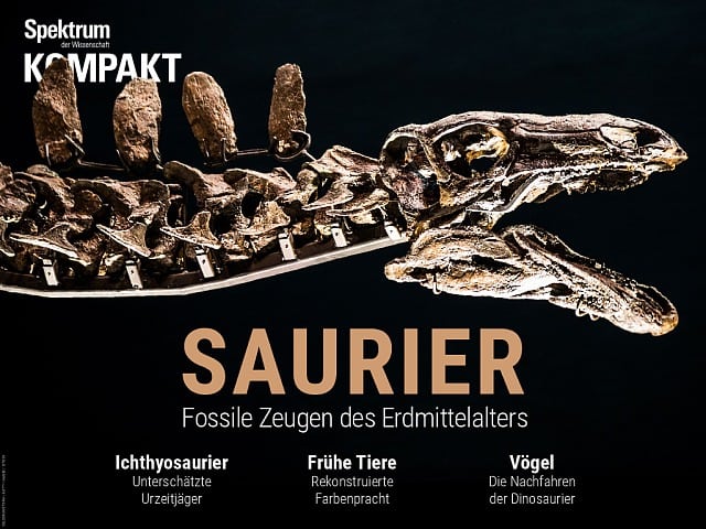 Spectrum Agreement: Saurians - Witnesses of Medieval Fossils