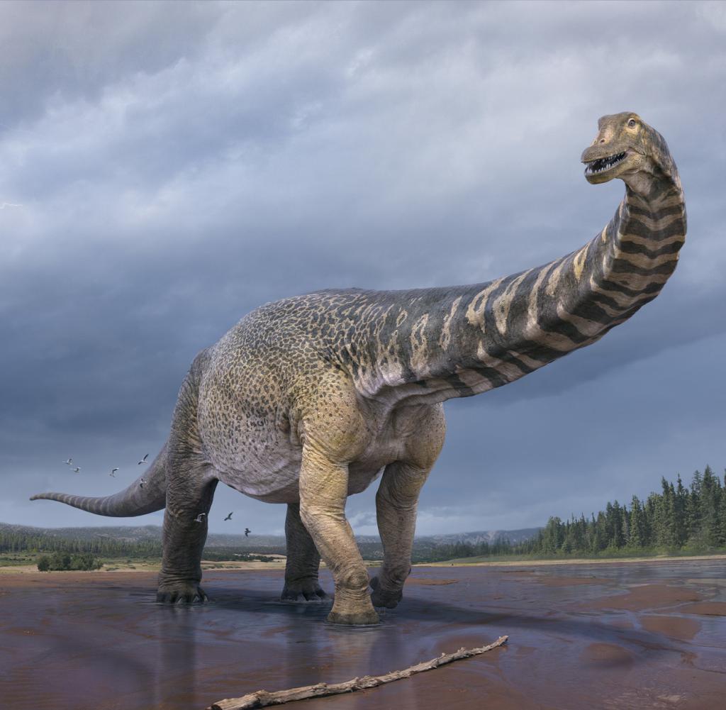 The new dinosaur belongs to the titanosaur family and lived about a hundred million years ago
