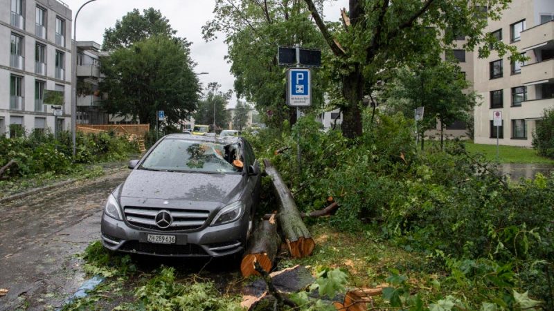 Several regions in Switzerland were hit by a severe storm

