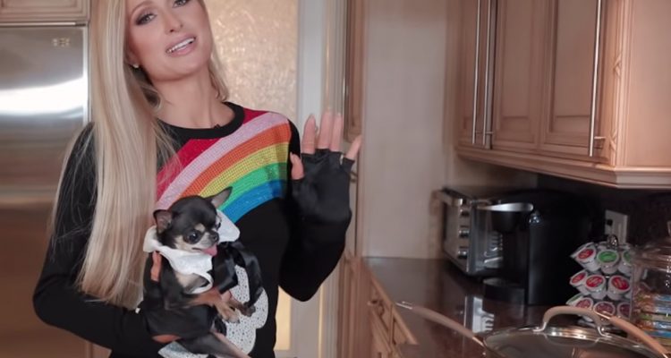 Paris Hilton: Her Cooking Show Will Finally Show On Netflix سيتم