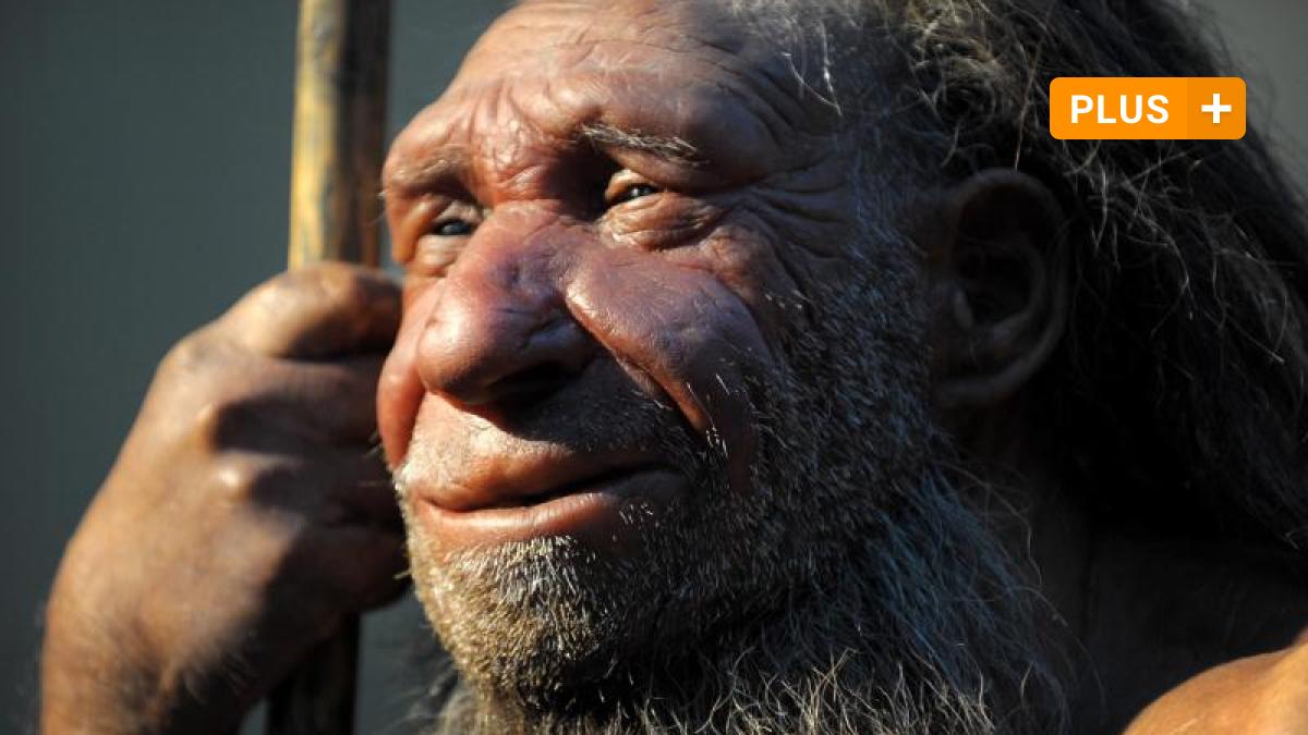 Science: Are We Closer To “Dragon Man” Than Neanderthals?