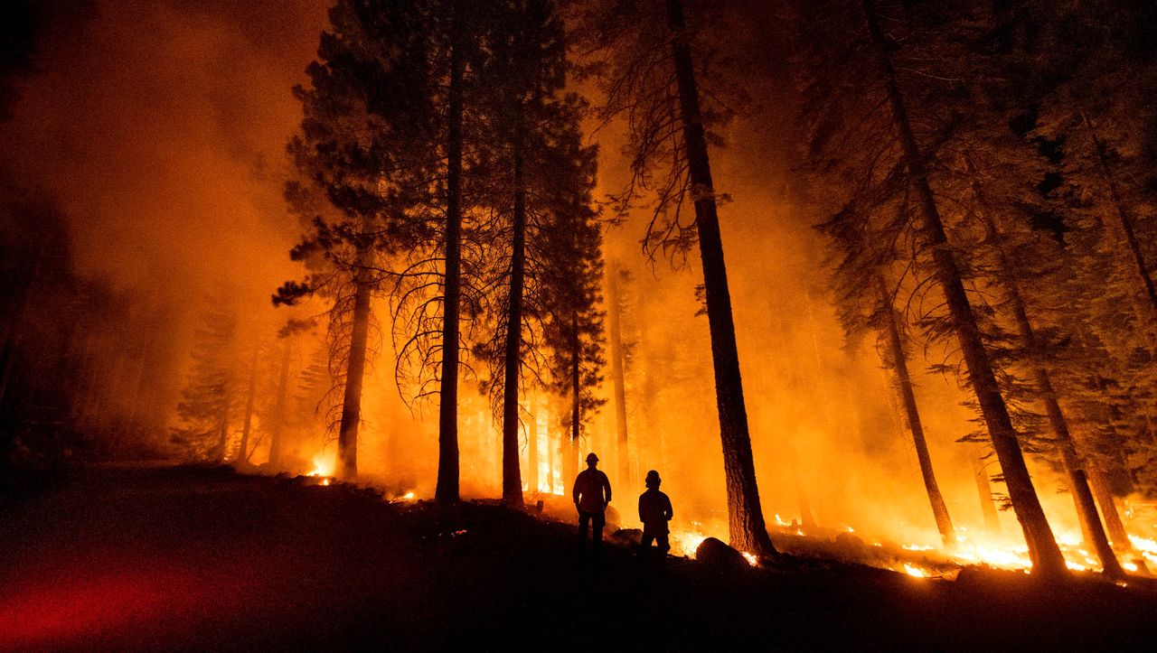 Wildfires in Turkey, Greece and California: a permanent state of emergency