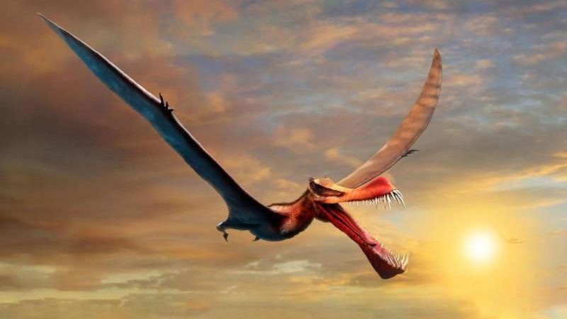Giant pterosaurs were once inhabited in Australia - science

