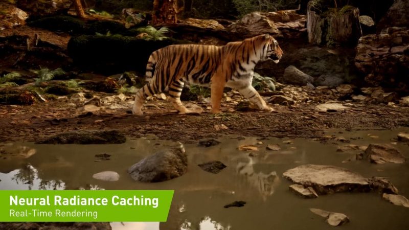 Neural Radiance Caching de Nvidia
