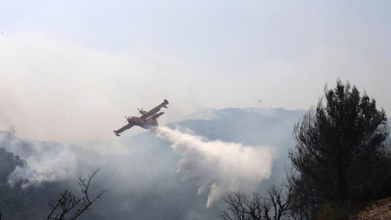 Algeria separates from Morocco after forest fires

