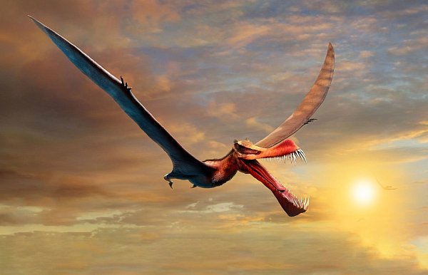 Giant pterosaurs were inhabited in Australia

