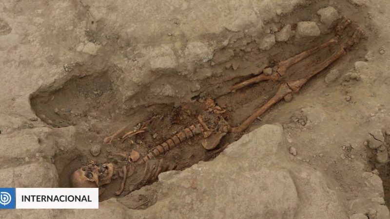   They discover the remains of 29 people over a thousand years old in a temple in Peru |  international

