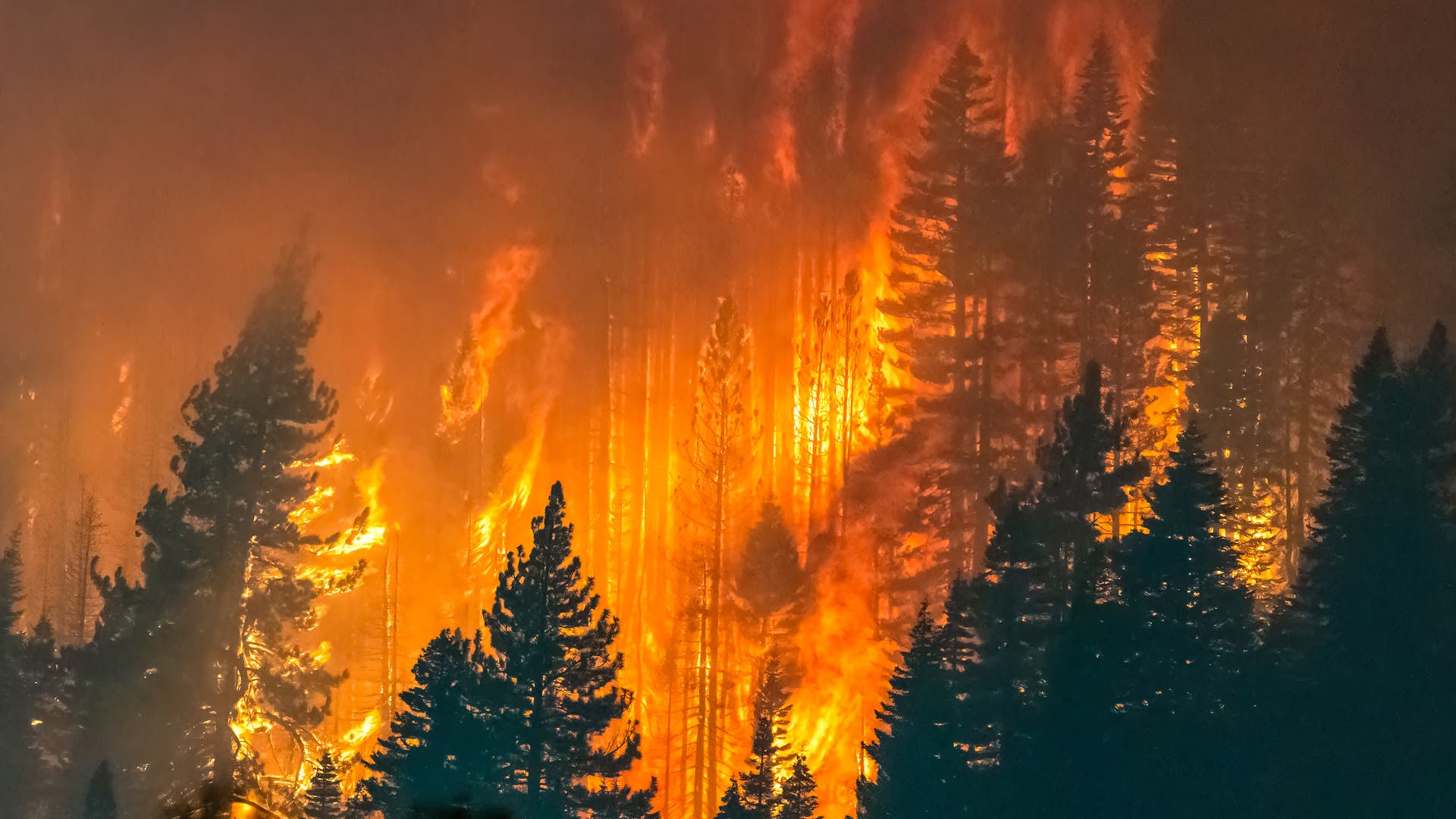 Climate change: no ice, more fire in the West