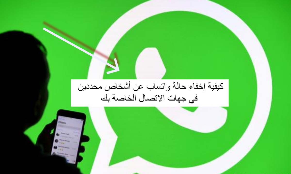 How to hide WhatsApp status from specific people in your contacts