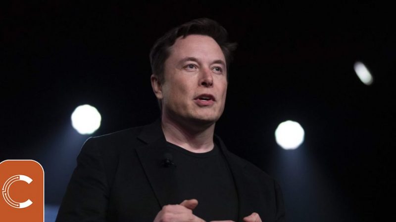 Elon Musk provokes crypto investors with the worst advice ever • Coinkolik

