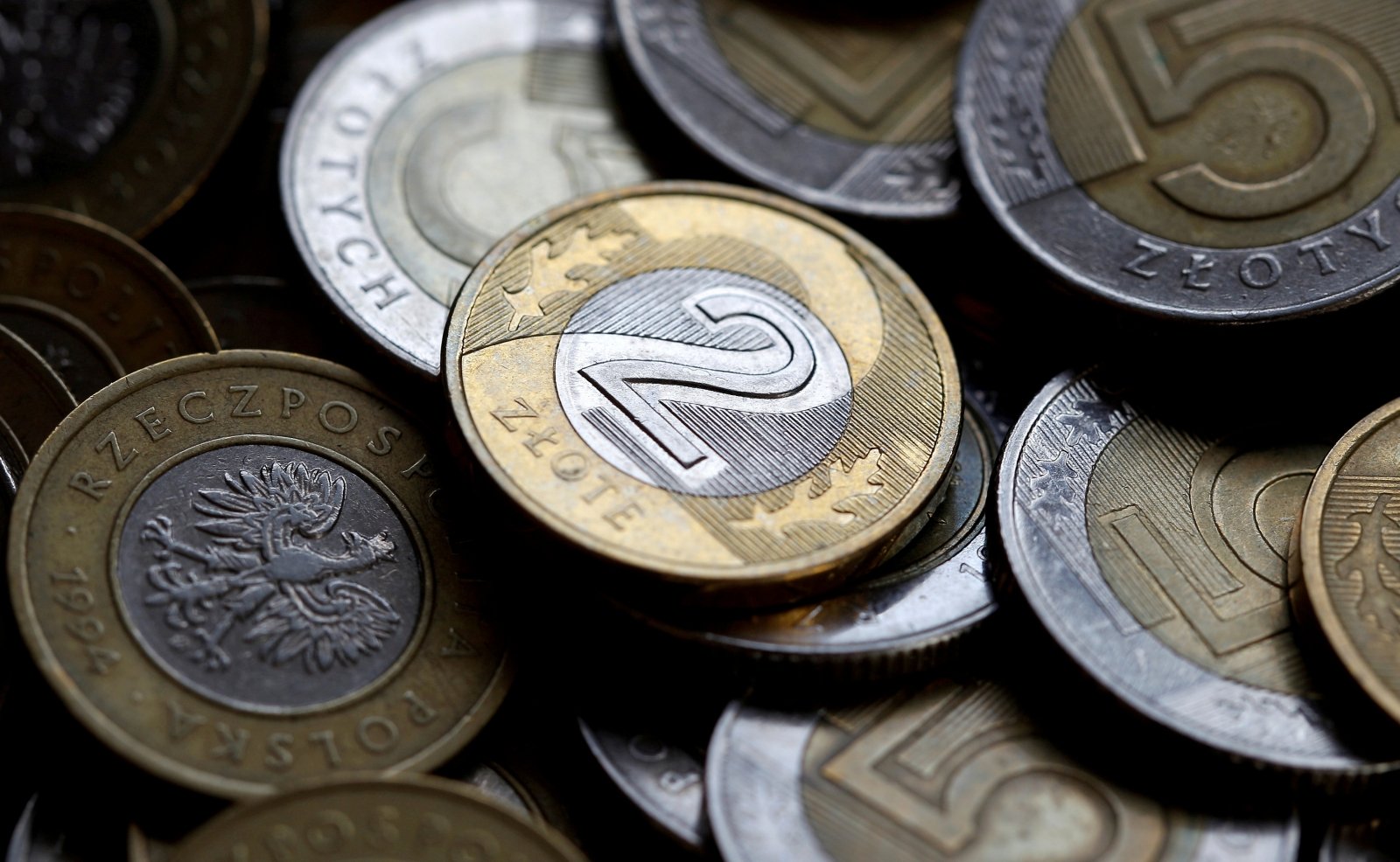 The Polish zloty fell to a 12-year low against the euro