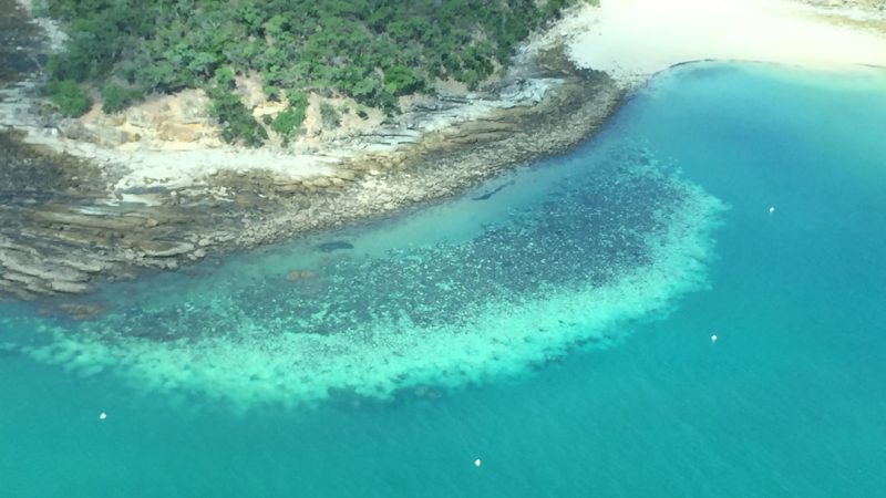 Australia: Great Barrier Reef - Coral reefs affected by bleaching

