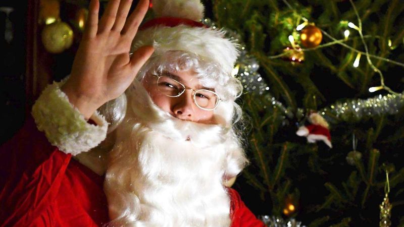 Finn Santa Claus: bearded, sober and pollinated - jigsaw

