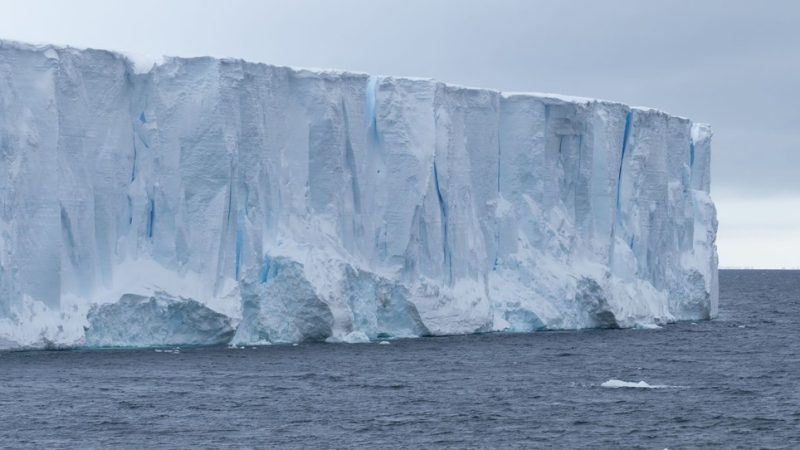The iceberg has released as much water as 61 million Olympic swimming pools


