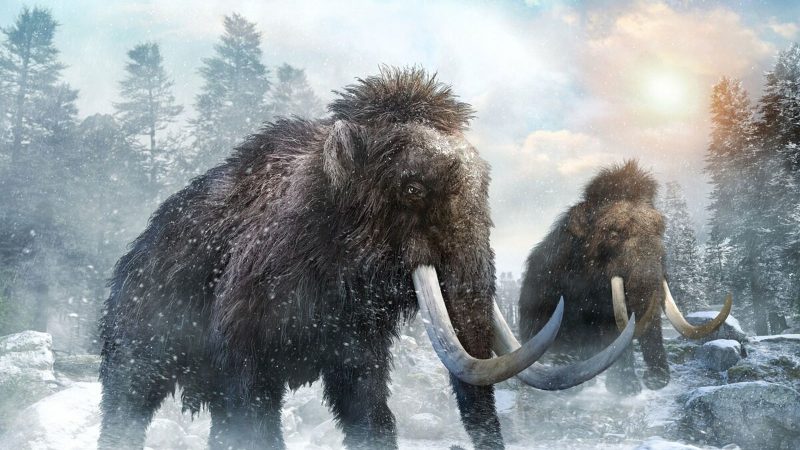   The return of the mammoth |  National Geographic

