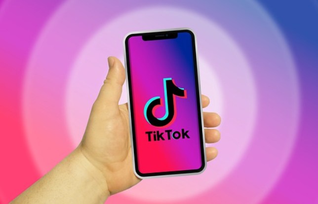 TikTok: When Influencers Earn More Than Top Managers [ la classifica ]