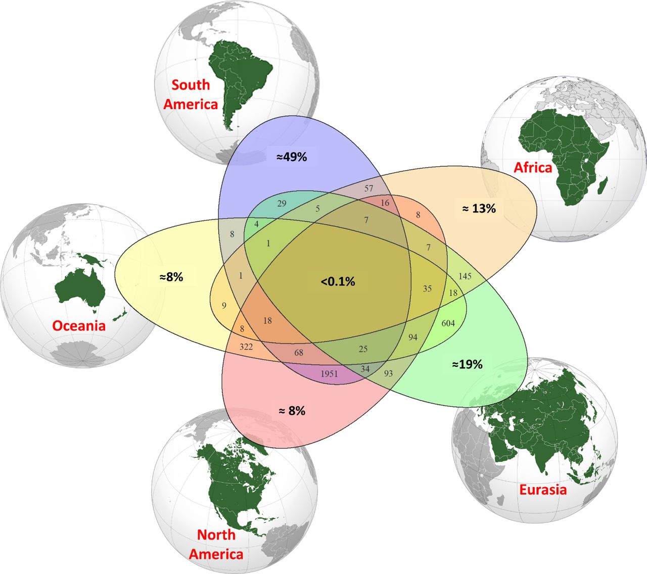 Estimates of the percentage of continental epidemics compared to the estimated richness of each continent and intercontinental species (numbers in overlapping groups).  In the middle, the percentage of species common to the five continents. [Roberto Cazzolla Gatti et al. - PNAS]