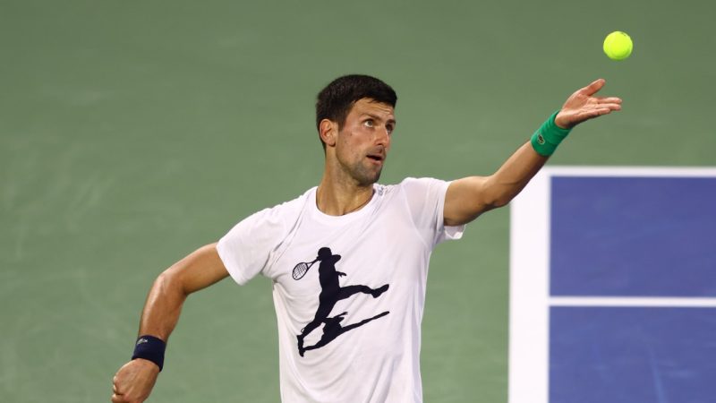 Djokovic celebrates comeback after Australian Open disaster - sports mix

