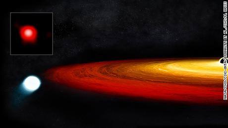This star survived a close call with a black hole. It will eventually become a planet