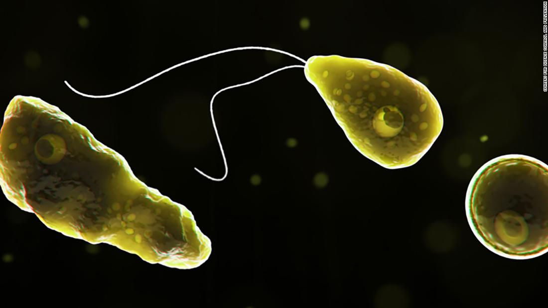 A rare case of a brain-destroying amoeba has been confirmed in Florida