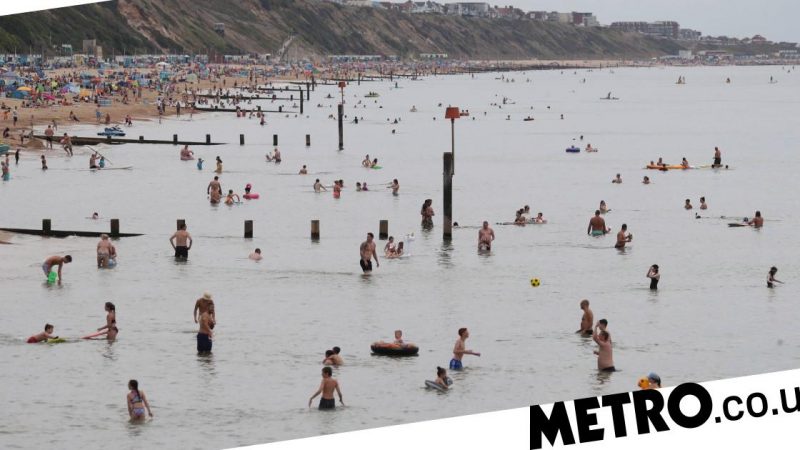 A 9-year-old child was tested for HIV after a finger was pricked with a needle on a UK beach

