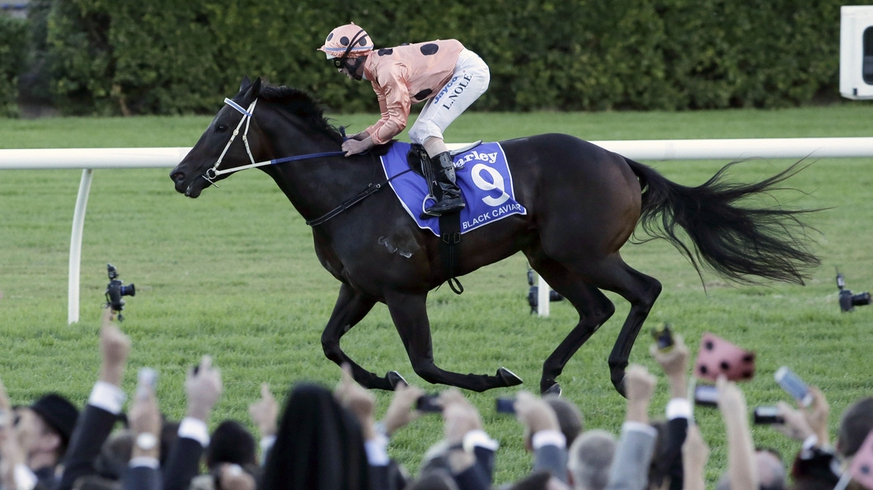 Racehorse Black Caviar won the 2012 Australian Female Athlete of the Year award