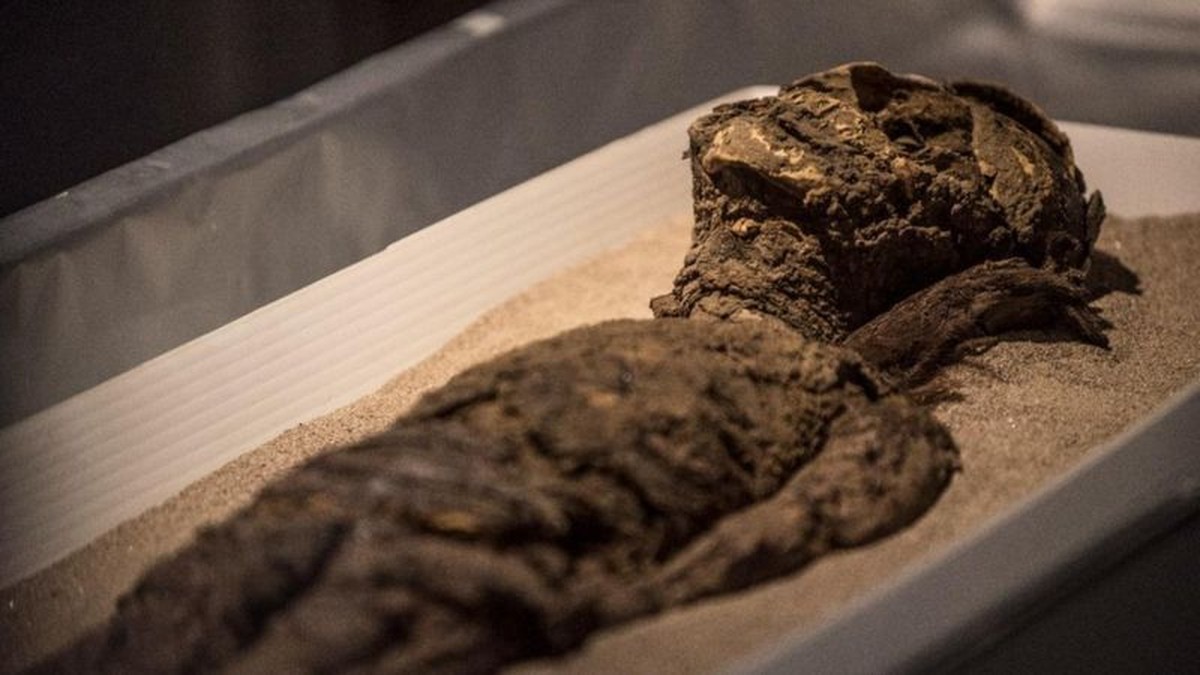 The amazing ancient civilization that mummified the dead 2000 years before the Egyptians |  science and health