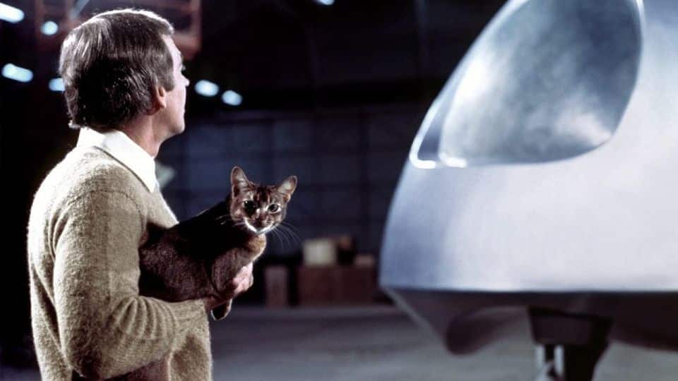 scene from "cat from outer space".