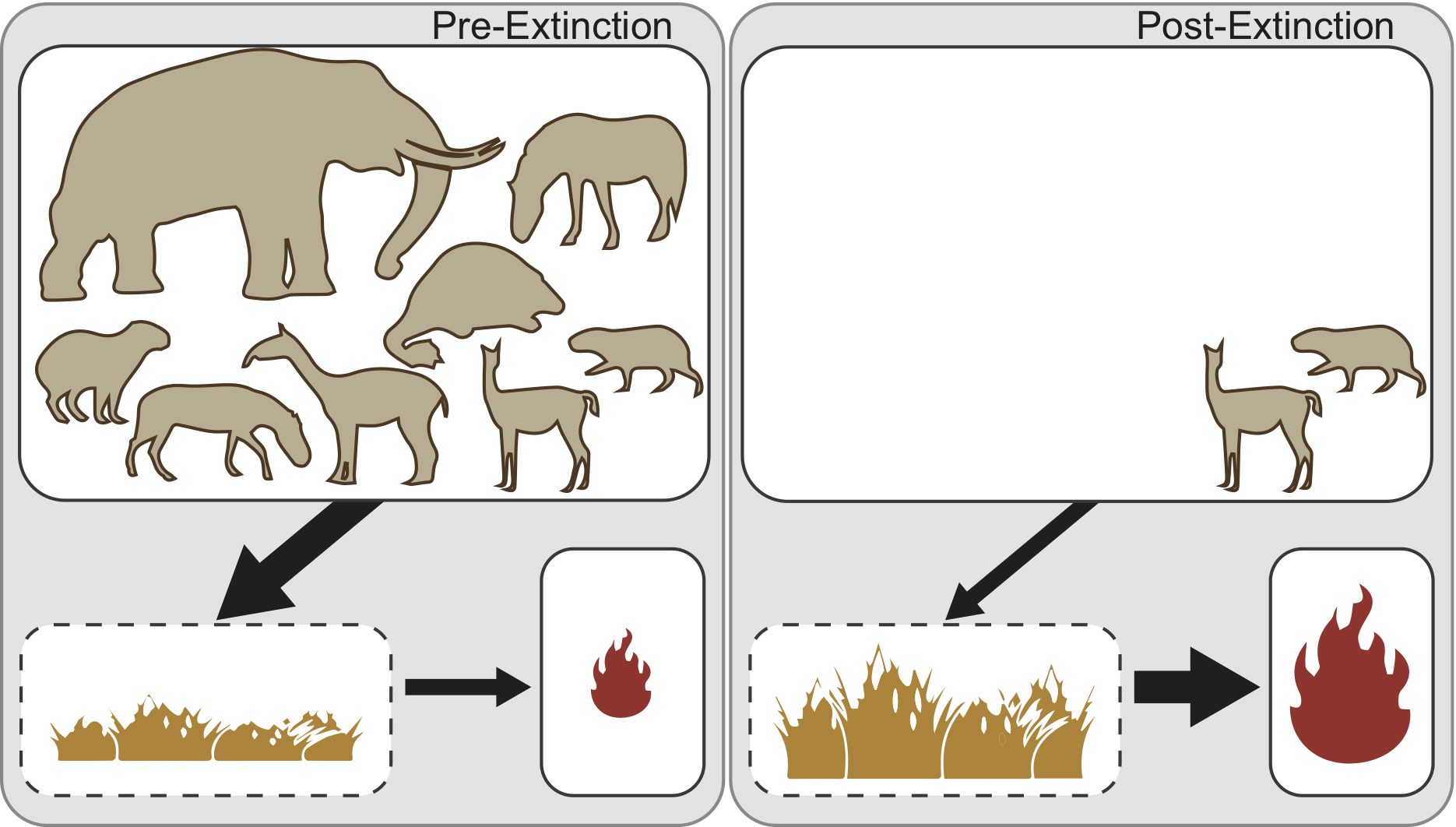 Fire activity and the extinction of herbivores with a detrimental effect