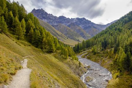 The Swiss National Park has 80 kilometers of trails