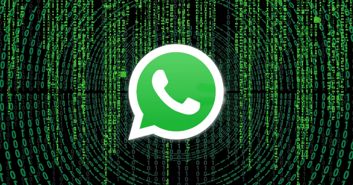A security flaw in WhatsApp: They warn of a “malicious image” that affects the phone’s work