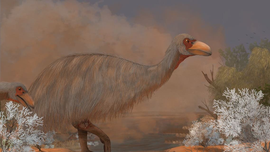 Paleontology: Rotten bones plagued by thunderbirds