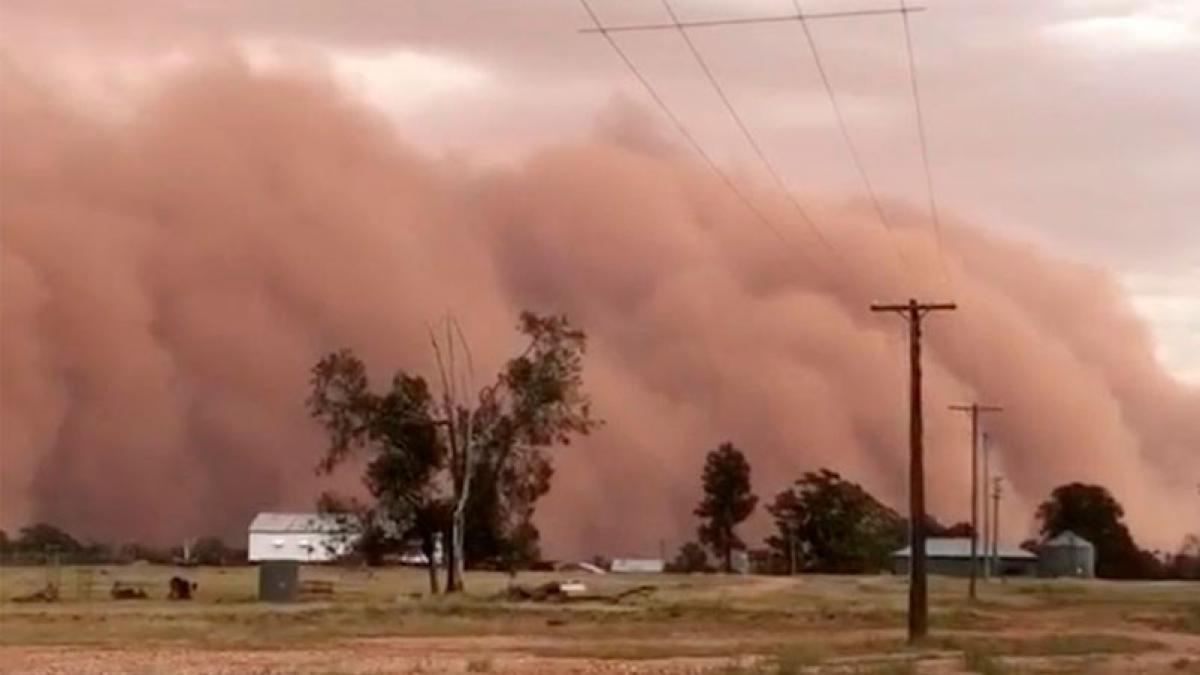 Sandstorm covers a city in Australia and spreads viral (video)