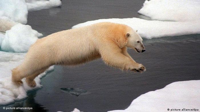 polar skeleton jump 